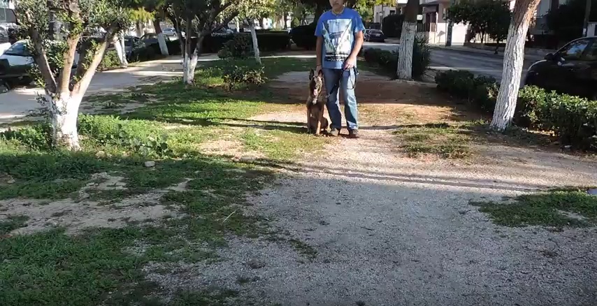εκπαιδευση σκυλου σωματοφυλακη