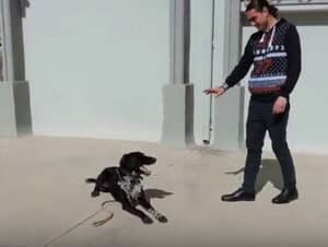 Χαρίζεται εκπαιδευμένος σκύλος