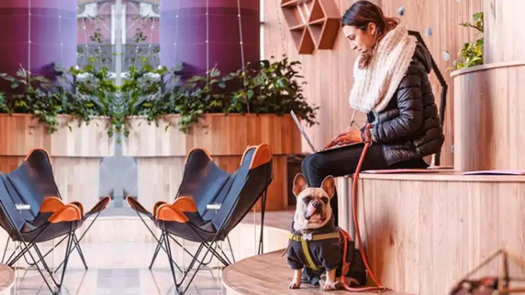  Pet Friendly Χώρος Εργασίας