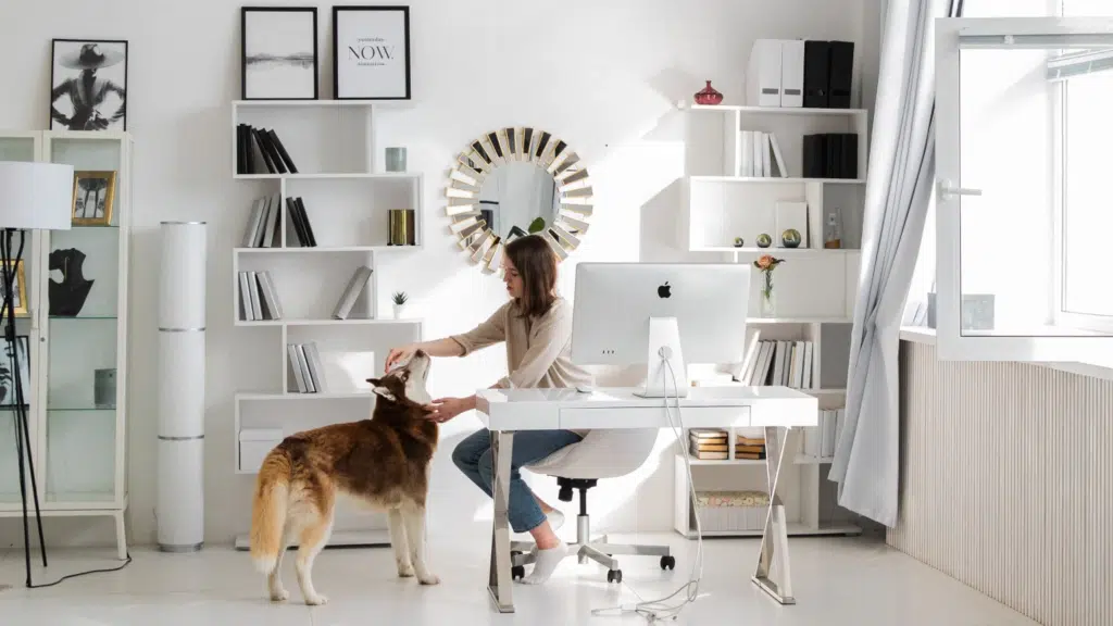  Pet Friendly Χώρος Εργασίας