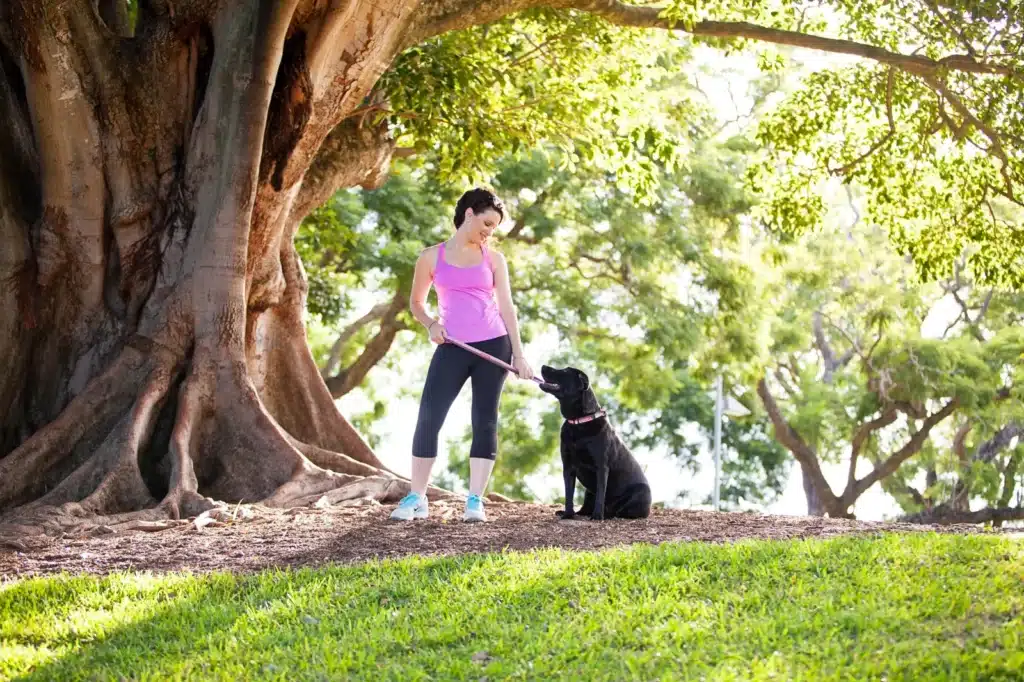 εκπαιδευση σκυλων αθηνα